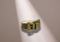 RIVET