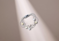 CONSTELLATION